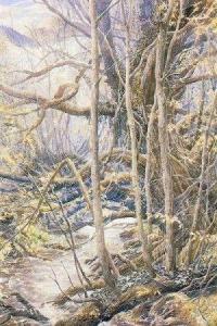 Old Forest by Alan Lee